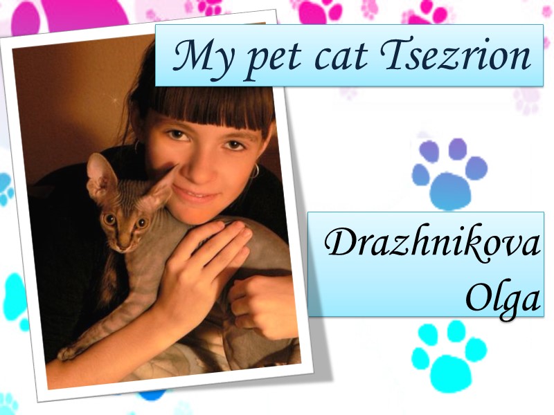 Drazhnikova Olga My pet cat Tsezrion
